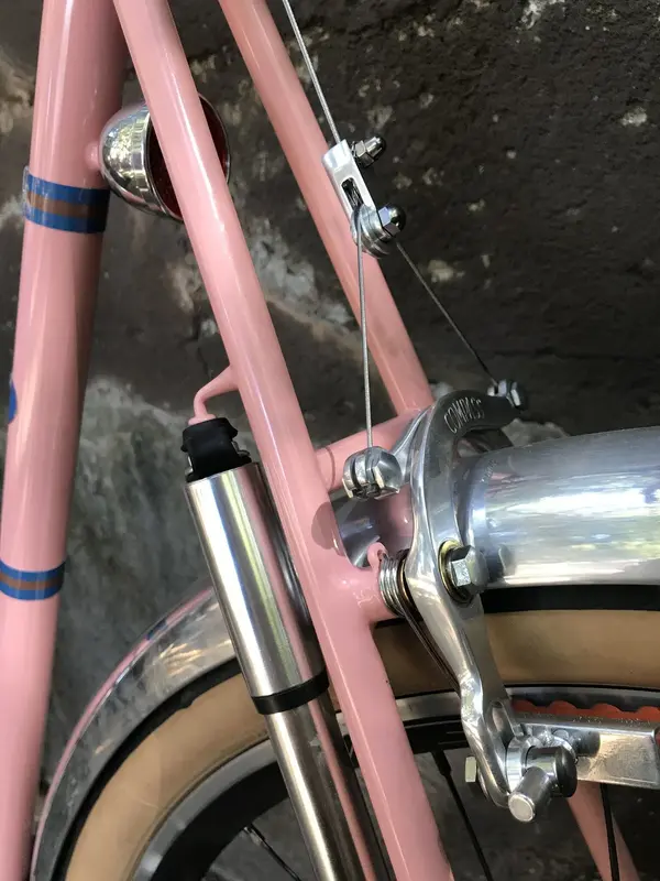 fitz cycles5.webp