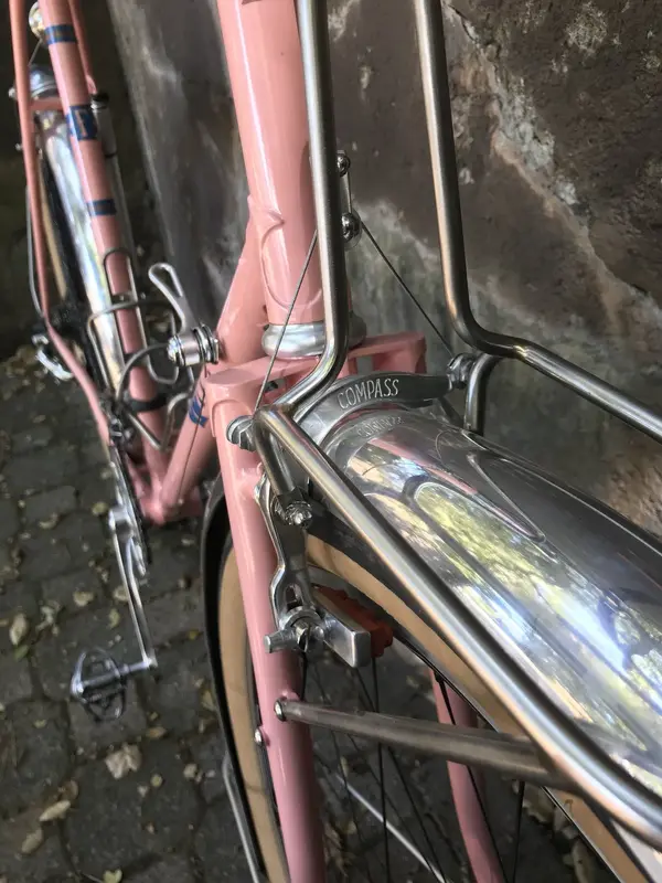 fitz cycles6.webp