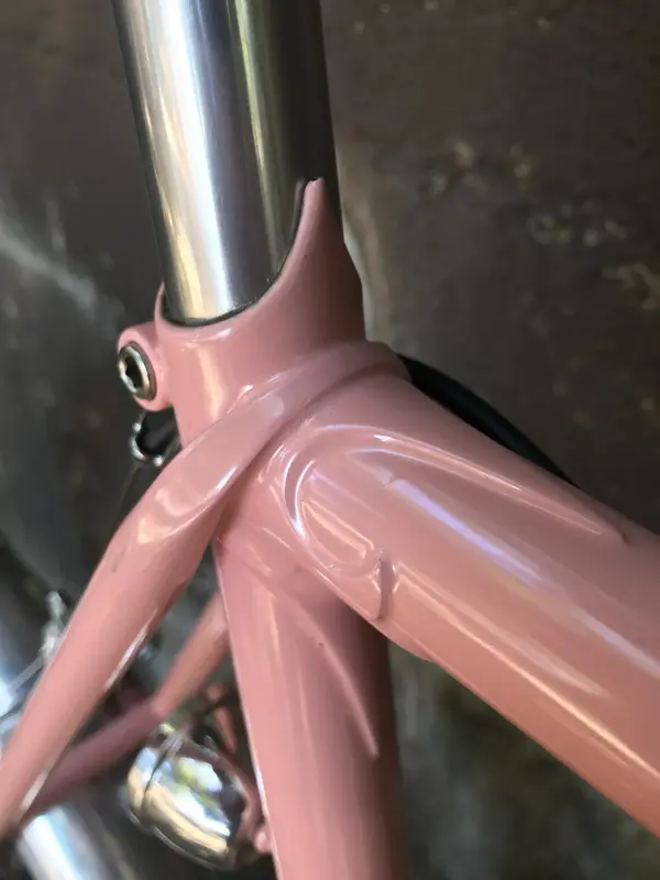 fitz cycles10.webp