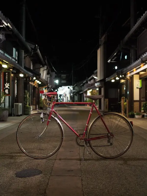 Motobecane Le Champion 15.webp