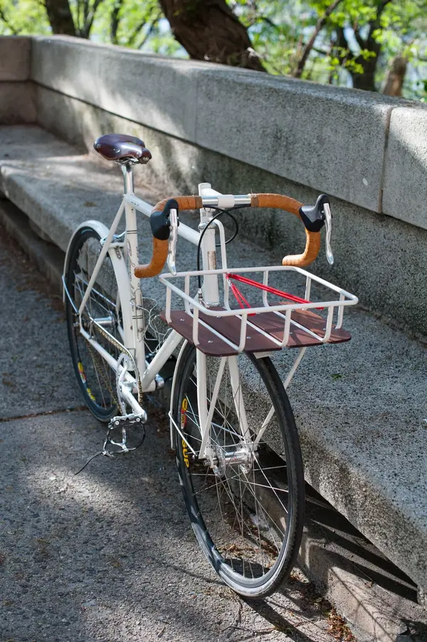 Vanilla porteur 11.webp