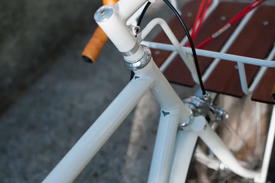 Vanilla porteur 12.webp