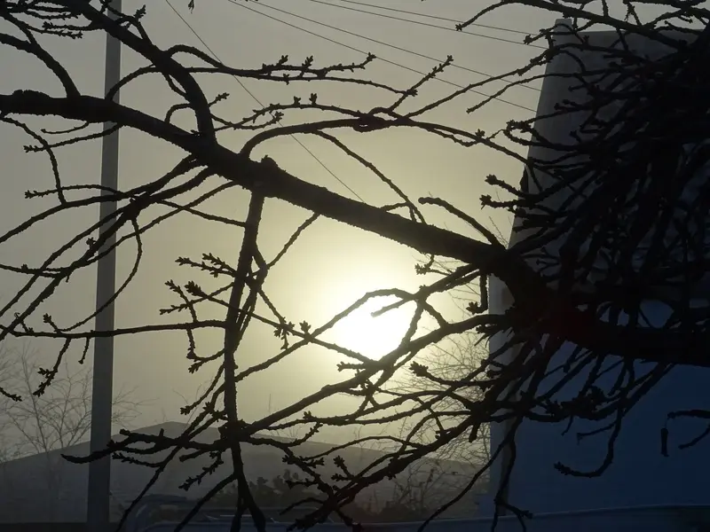 DSC01675.webp