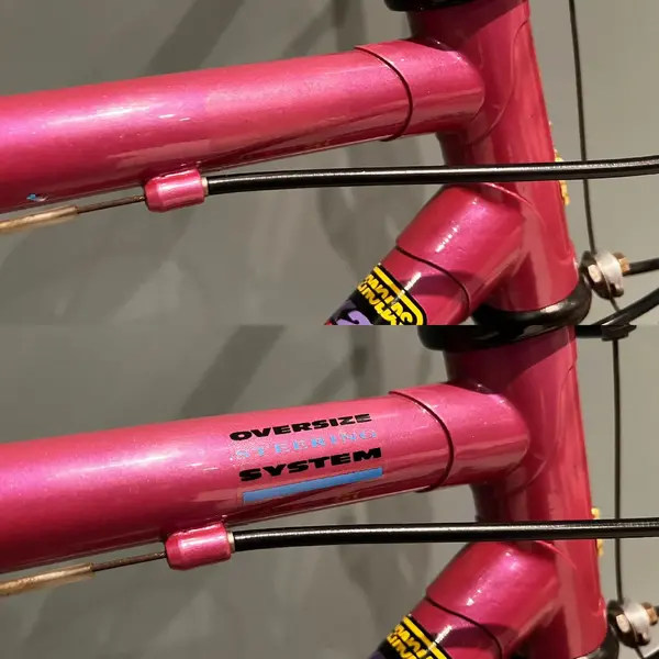 Raleigh Apex New Decal 1.webp