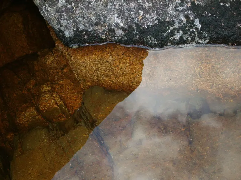 water2.webp