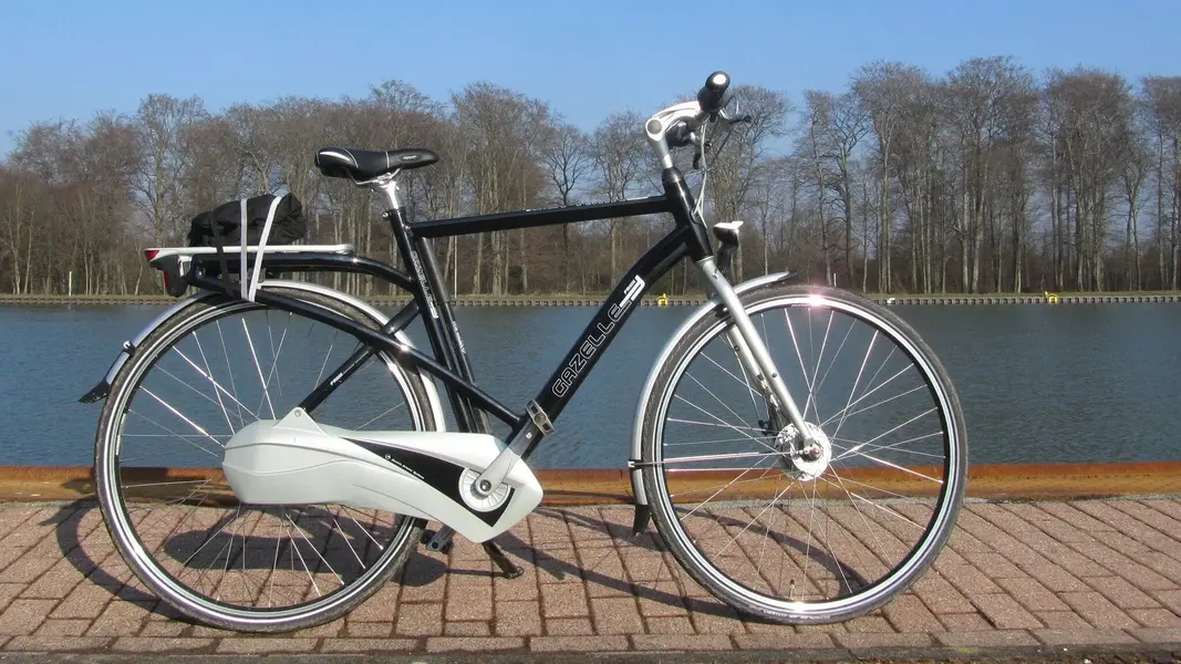 Gazelle Friiik 2.jpg