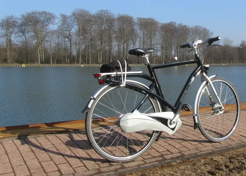 Gazelle Friiik 5.jpg