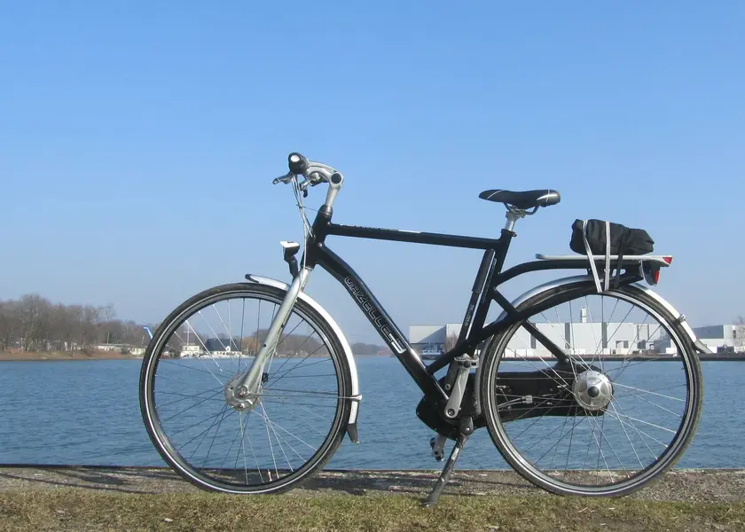 Gazelle Friiik 6.jpg