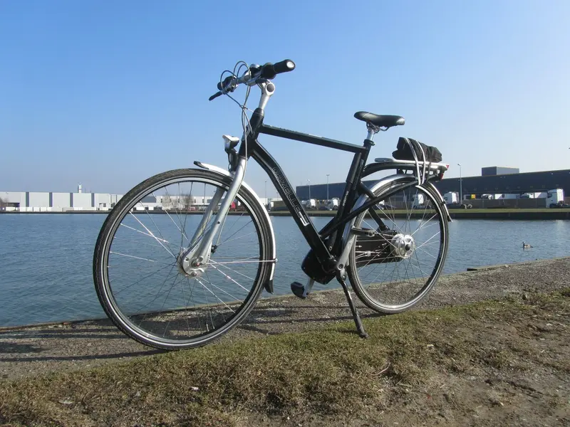 Gazelle Friiik 9.jpg