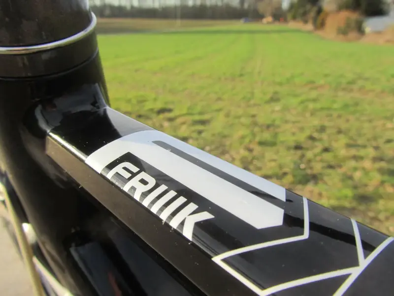 Gazelle Friiik 12.webp