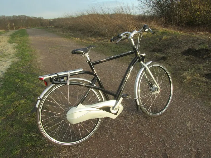 Gazelle Friiik 13.webp