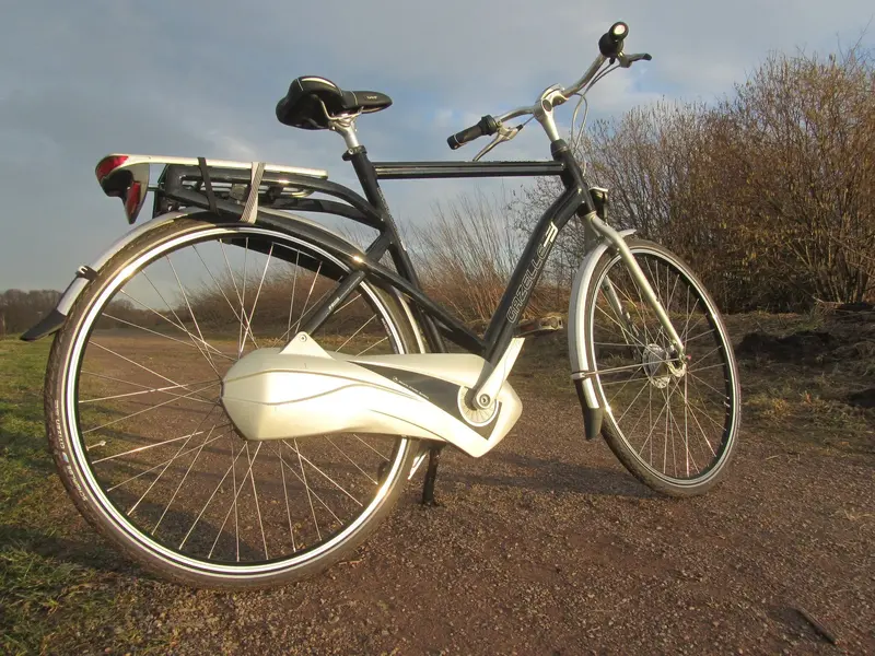 Gazelle Friiik 15.webp