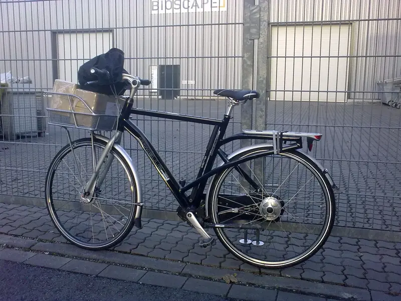 Gazelle Friiik 25.webp