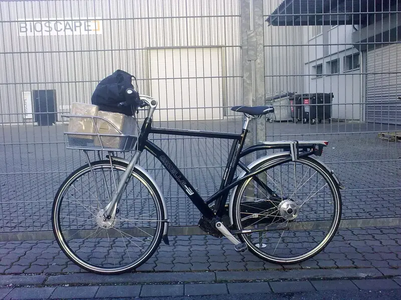 Gazelle Friiik 26.webp