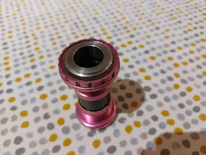 20230320_205532.jpg