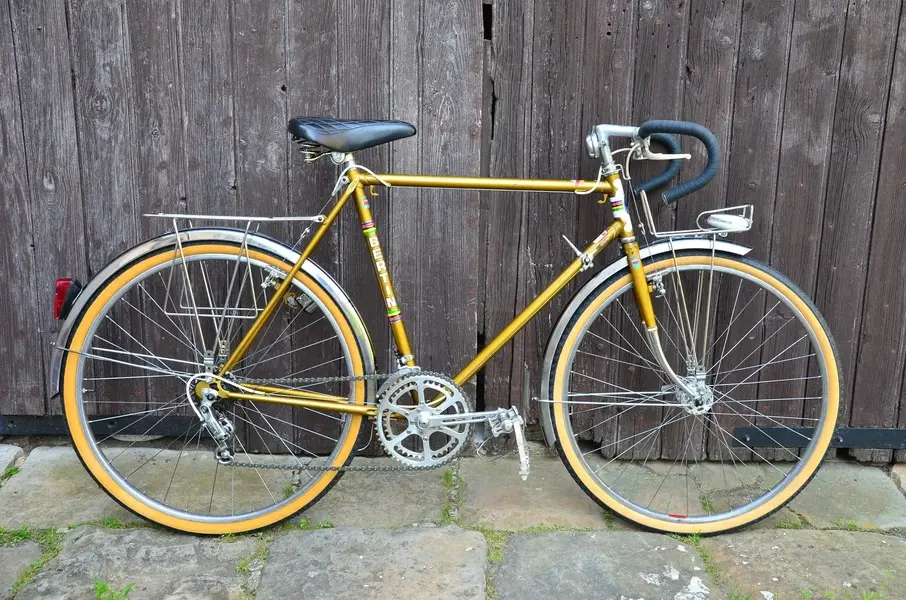 BERTIN C116 randonneur 1979 1.webp