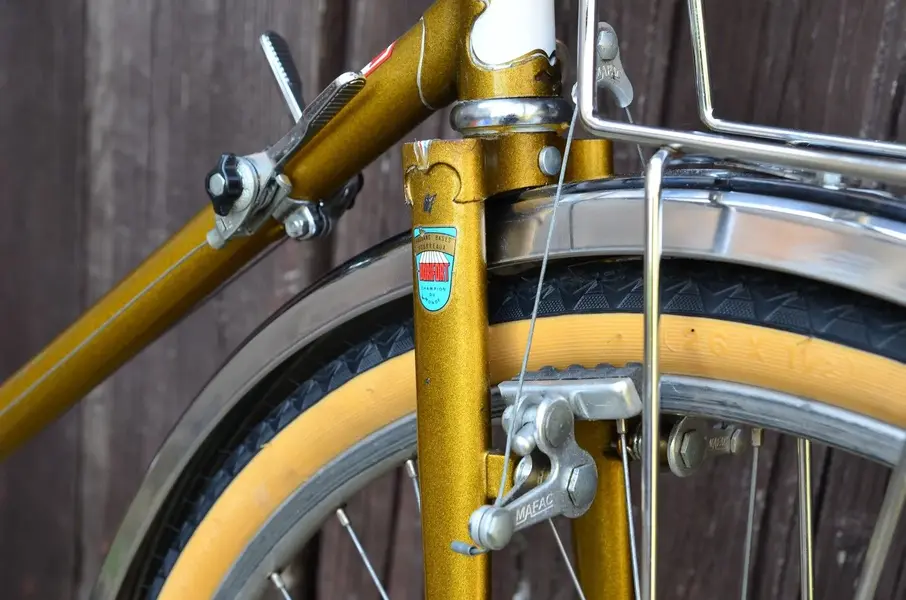 BERTIN C116 randonneur 1979 12.webp
