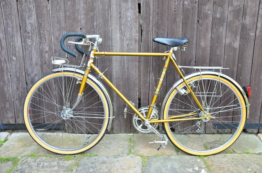 BERTIN C116 randonneur 1979 13.webp