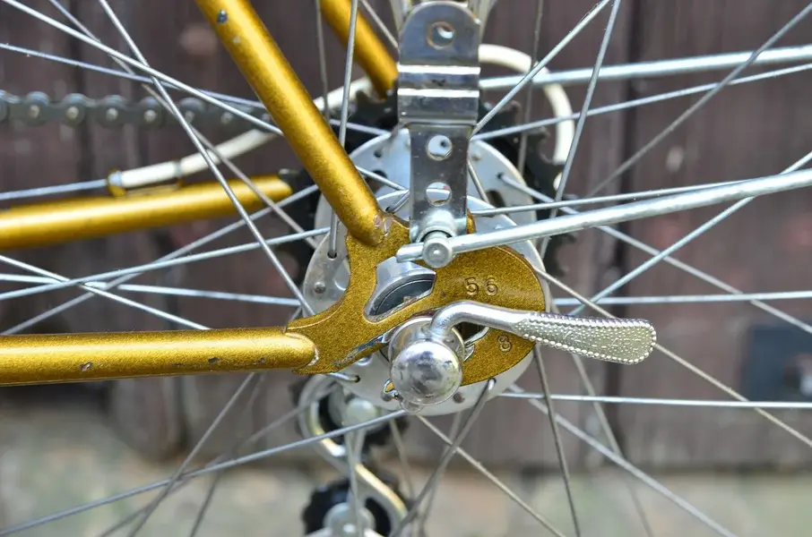 BERTIN C116 randonneur 1979 16.webp