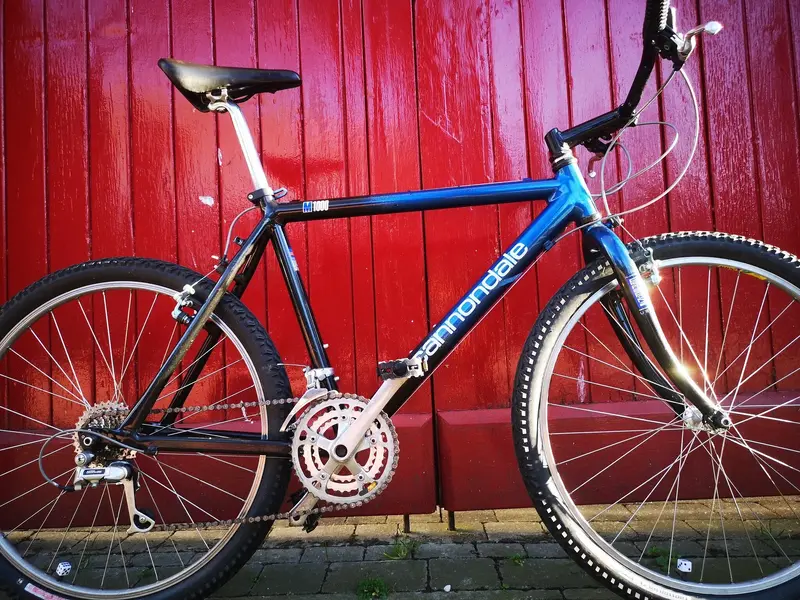 For Sale Cannondale M1000 Retrobike