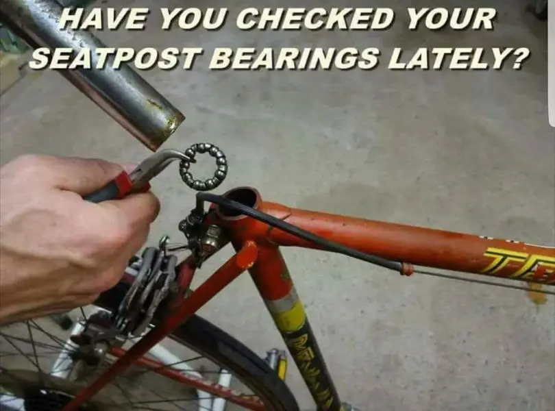 Seatpost_bearings.webp