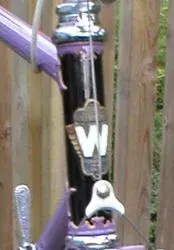 williamson3.webp