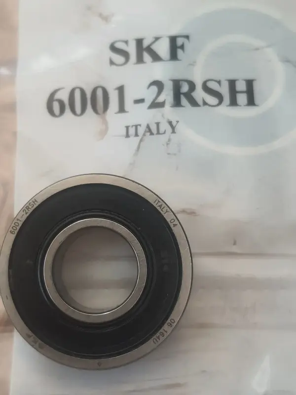 20230304_114453.jpg