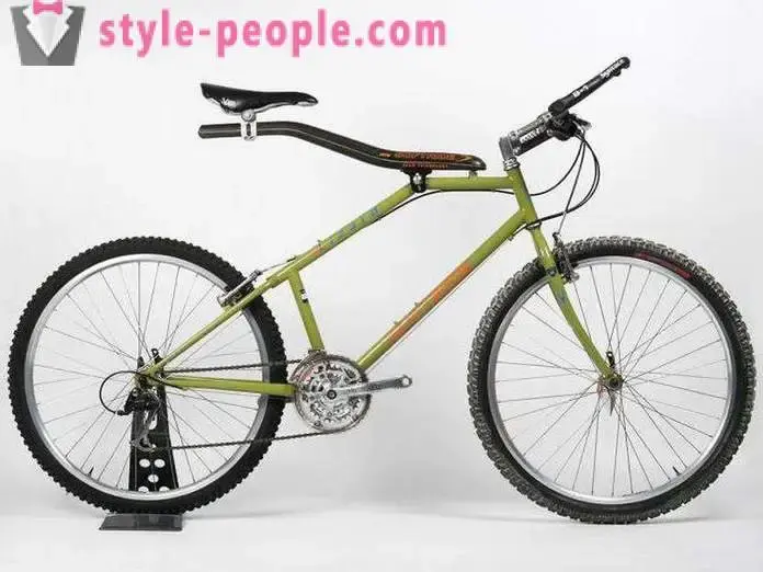 mtb.webp