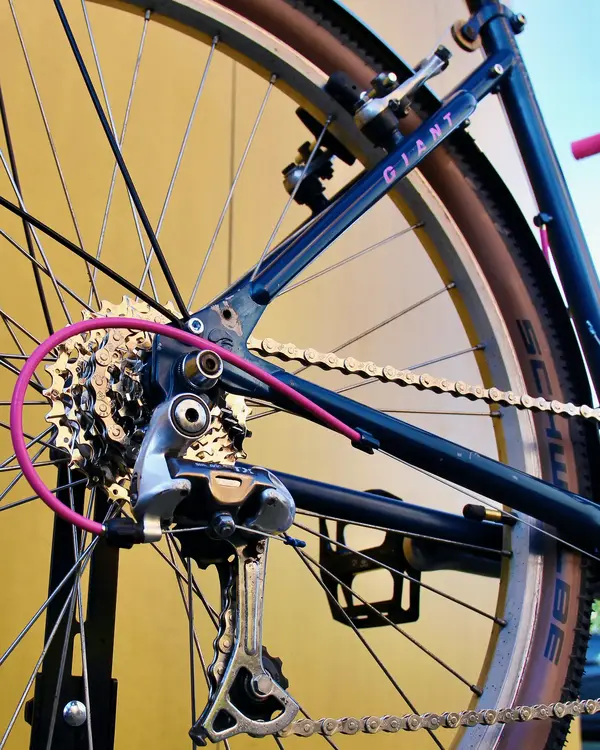 Giant Twist FULL - 5-2.webp