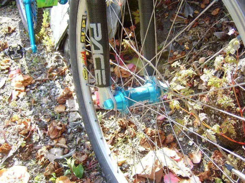 digital camera etc 006.webp