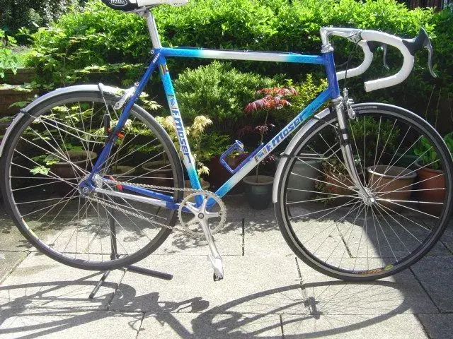 Moser.webp