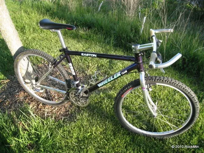 Tell me about Wheeler team 9900 Retrobike
