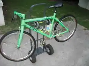 lime green.webp