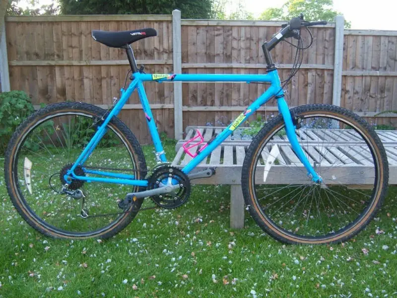raleigh Montage.webp