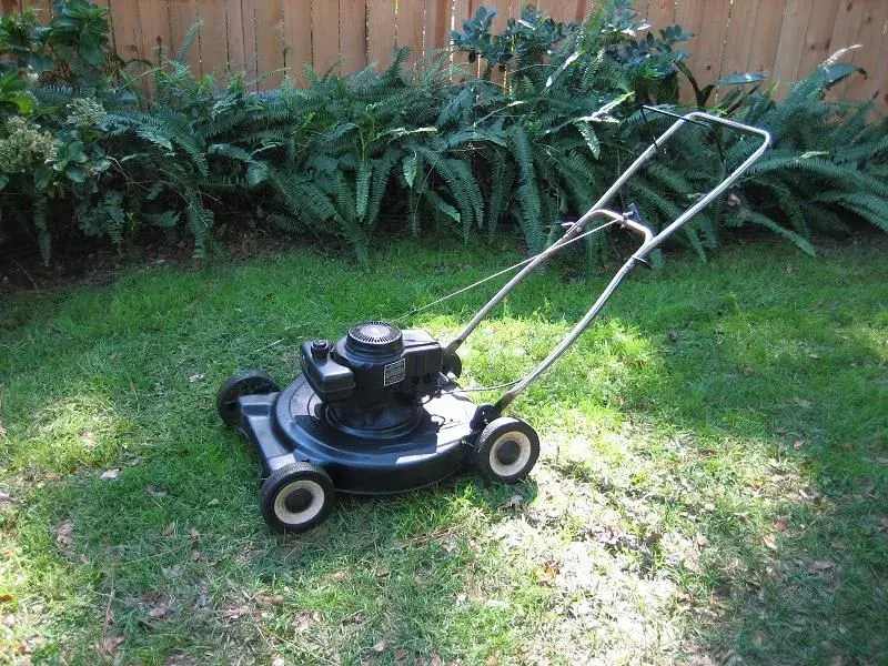 mower.webp