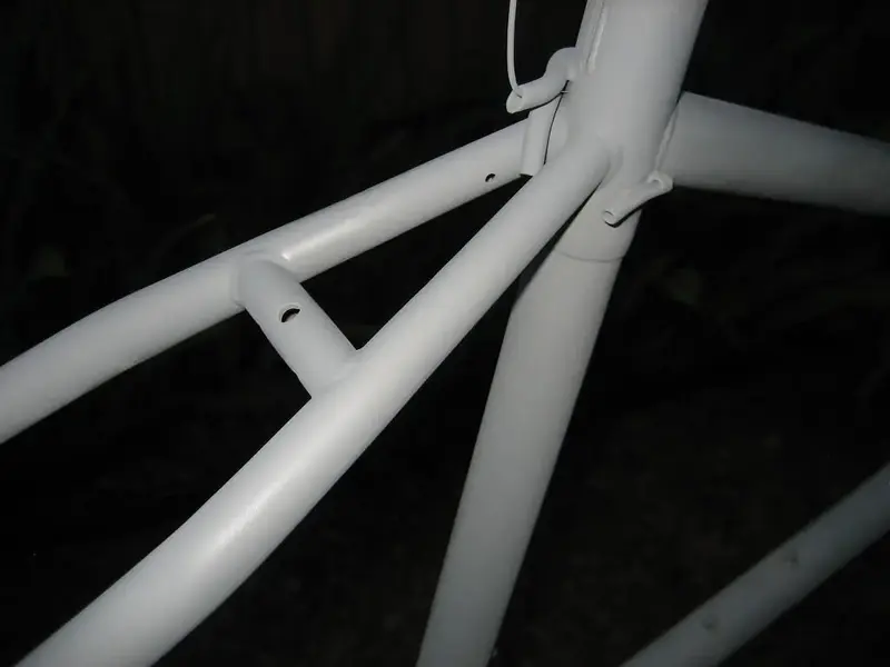 IMG_5519small.webp
