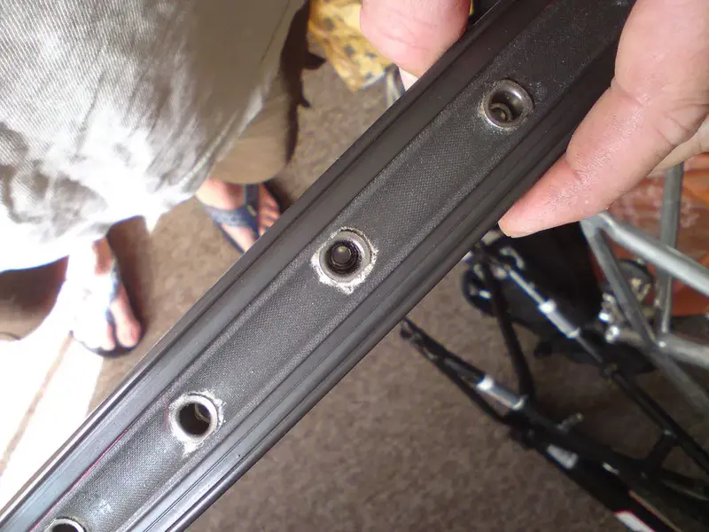 eyelets.webp