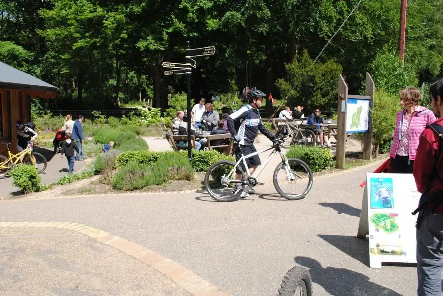 man with bike.webp