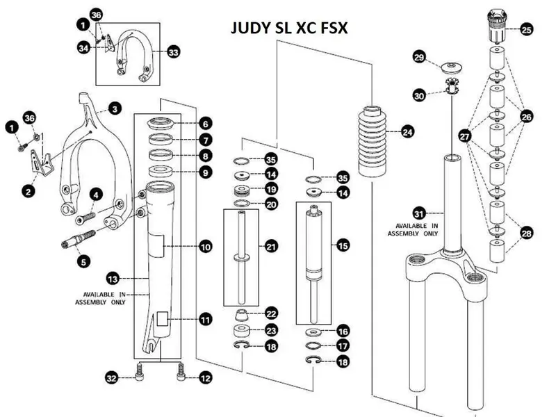 judystrip.webp