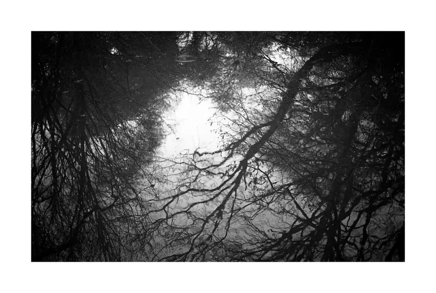 KodakXXcontax rtsapril536.webp