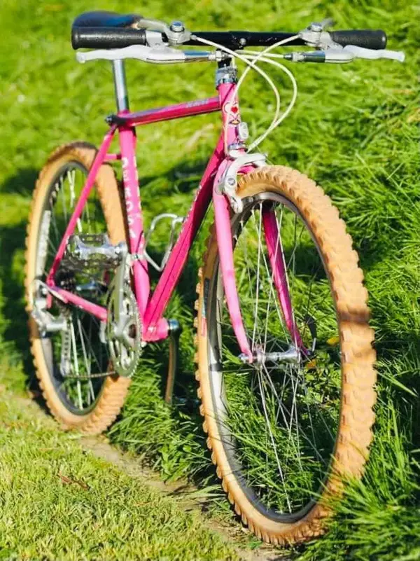 derosa_mtb_reddit.webp