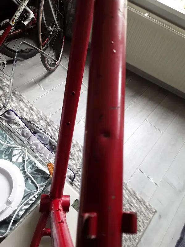 20230417_123101.webp