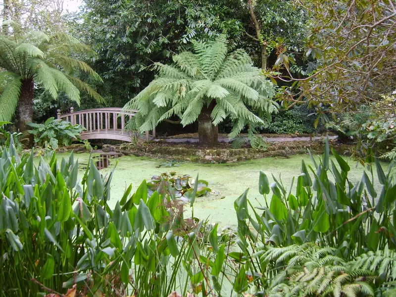 S8002220.JPG