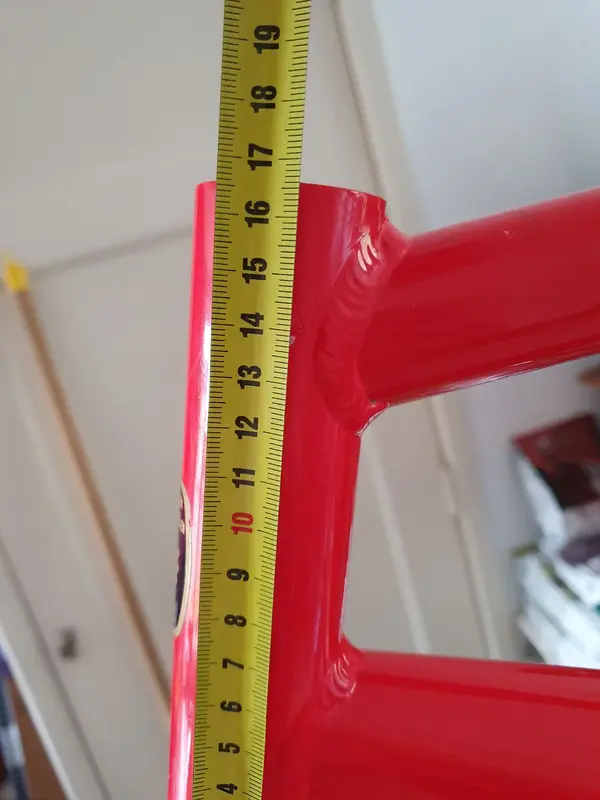head size.webp