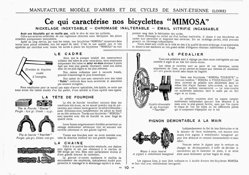 Mimosa 1932 1.webp