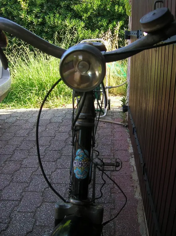 Mimosa 1932 a 2.webp