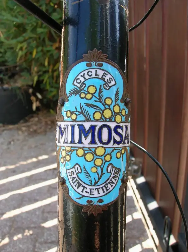 Mimosa 1932 a 15.webp