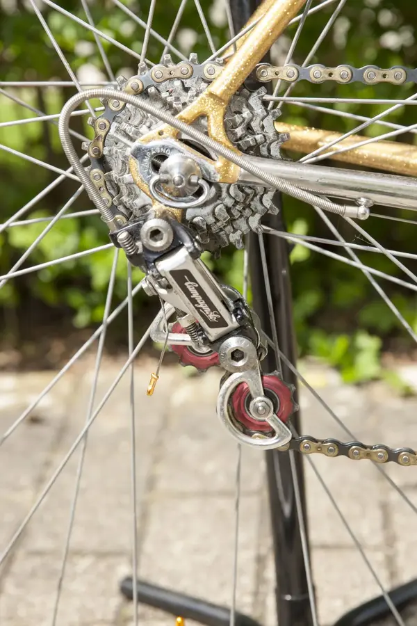 3O1F4755.webp