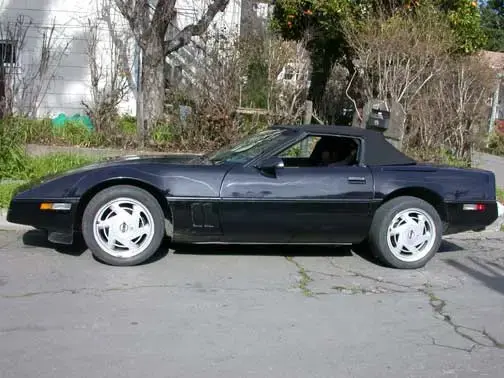 Vette-1.webp