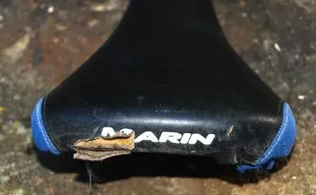 marin1.webp